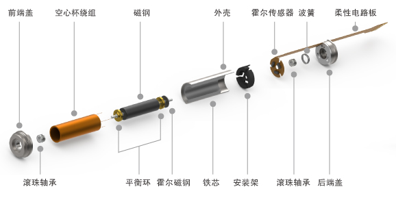 无刷空心杯电机结构图