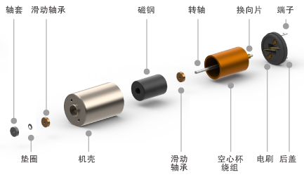 有刷空心杯电机结构图